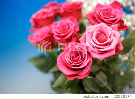 Rose flower Rose flower 32968174