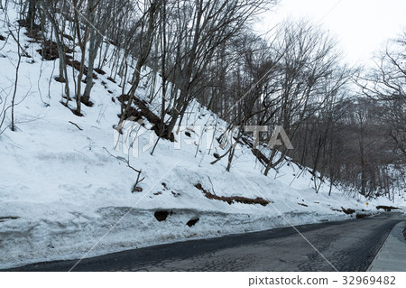 Road and trees covered with snow Road and trees covered with snow 32969482
