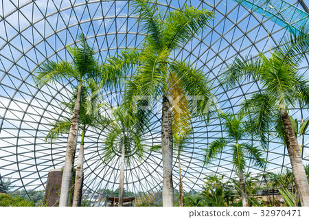 Green house Green house 32970471