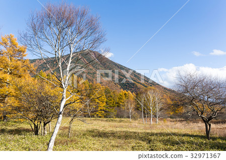 Beautiful landscape 32971367