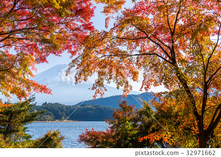 Lake Kawaguchi and Mount Fuji in Autumn season 32971662