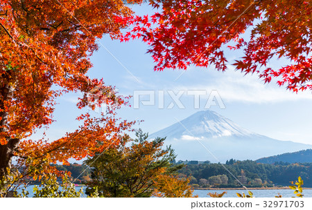 Mt. Fuji and autumn foliage at Lake Kawaguchi 32971703