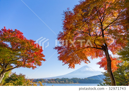 Fuji Autumn 32971743