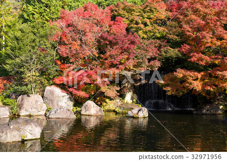 Autumn garden in Japan Autumn garden in Japan 32971956