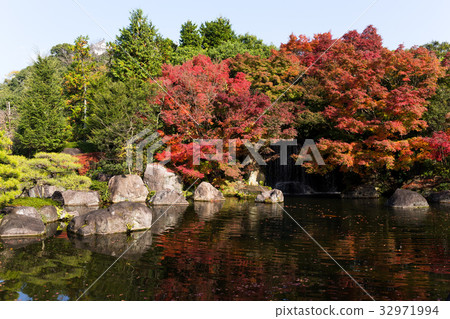 Kokoen Garden fall foliage Kokoen Garden fall foliage 32971994