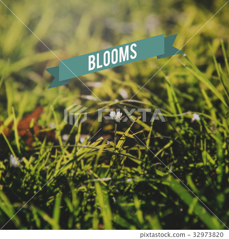 Good Vibes Be Positive Concept Good Vibes Be Positive Concept 32973820