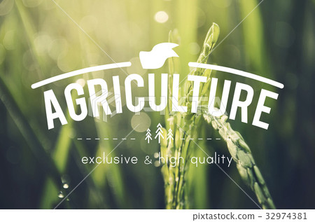 Alternative Farming Sustainable Nature Concept Alternative Farming Sustainable Nature Concept 32974381