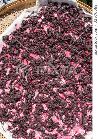 Umeboshi red pepper 32976068