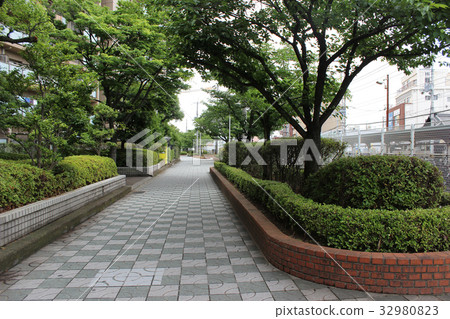 Kawachi Tenmi Ekimae Promenade / Matsubara City, Osaka Prefecture 32980823
