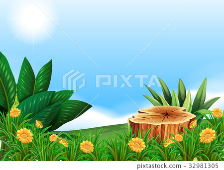 Scene with stump tree in flower field 32981305