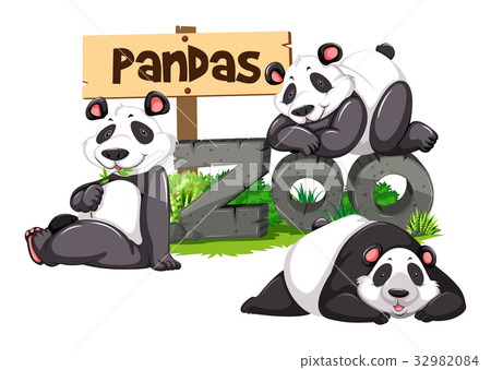 Three pandas in the zoo - Stock Illustration [32982084] - PIXTA
