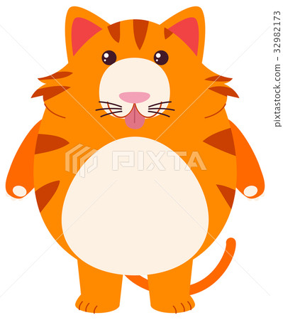 Fat cat on white background 32982173