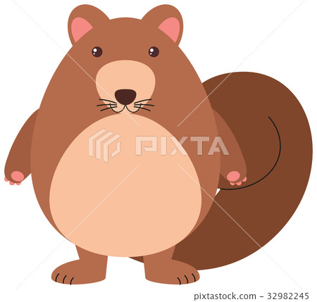 Cute squirrel on white background 32982245