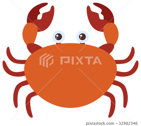 Brown crab on white background Brown crab on white background 32982346