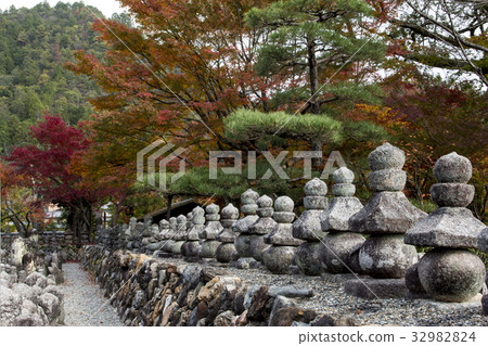 Autumn leaves of Nanno Buddha Temple Autumn leaves of Nanno Buddha Temple 32982824