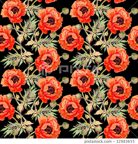 Wildflower poppy flower pattern in a watercolor Wildflower poppy flower pattern in a watercolor 32983655