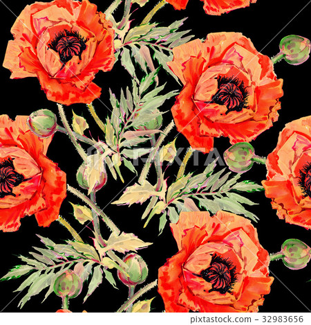 Wildflower poppy flower pattern in a watercolor Wildflower poppy flower pattern in a watercolor 32983656
