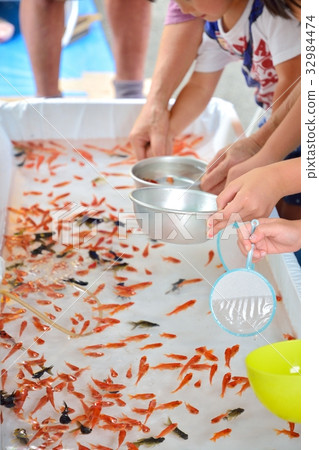 夏季節日金魚瓢 照片素材 圖片 圖庫