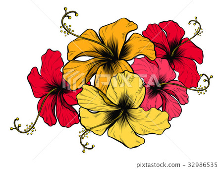 Hibiscus Flowers 32986535