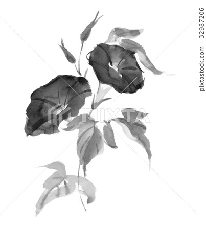 Morning glory ink painting Morning glory ink painting 32987206