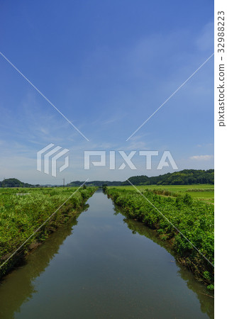Scenery of the Kashima River in the summer Scenery of the Kashima River in the summer 32988223