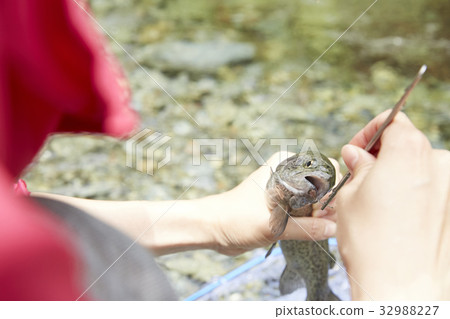 一個女人享受釣魚 一個女人享受釣魚 32988227