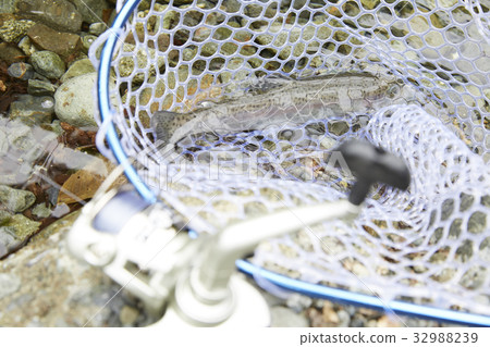 River fishing River fishing 32988239
