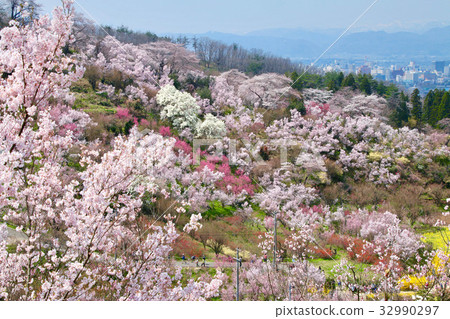 Hanamiyama和福島市區遠景(福島市) Hanamiyama和福島市區遠景(福島市) 32990297