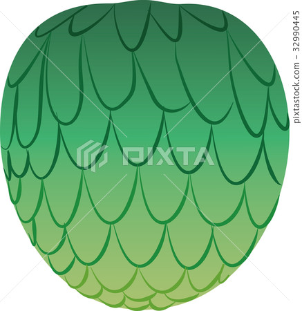 番荔枝 番荔枝 32990445