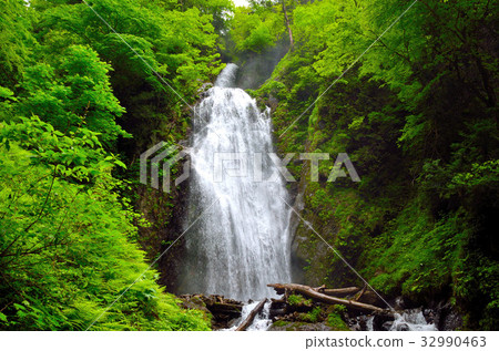 Fresh green's reclining valley 32990463