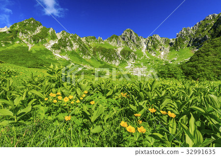 Senjakikikaru 32991635