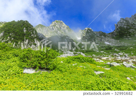 千疊敷捲曲 千疊敷捲曲 32991682