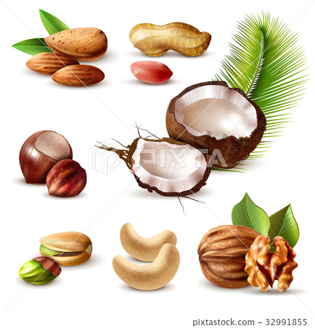Nuts Realistic Set 32991855