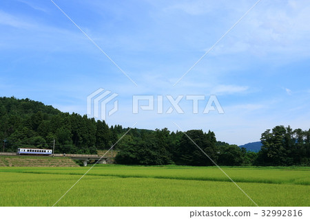 Hoku Hoku Line Summer 1 32992816