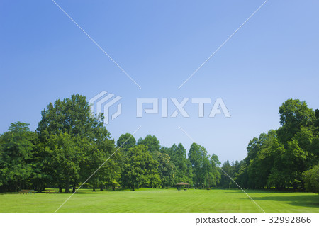 公園樹 公園樹 32992866