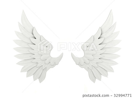 White wing isolated on white background White wing isolated on white background 32994771