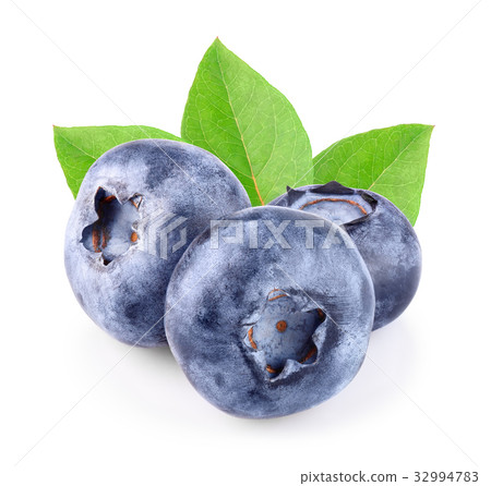 blueberry with leaves isolated on white blueberry with leaves isolated on white 32994783