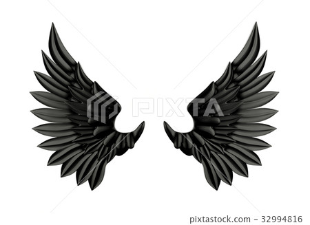 Black wing isolated on white background 32994816