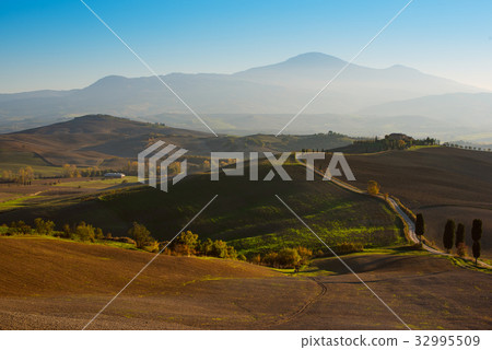 Wavy fields in Tuscany 32995509