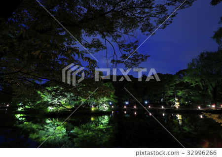 春節 春節 32996266