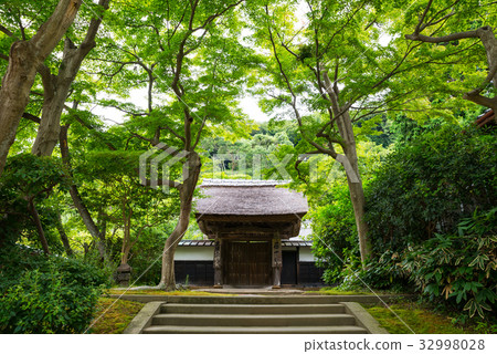 神奈川縣神閣寺Shishirin Kojirin鎌倉市自2017年7月起 32998028