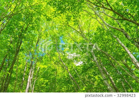  Fresh green eco image 32998423