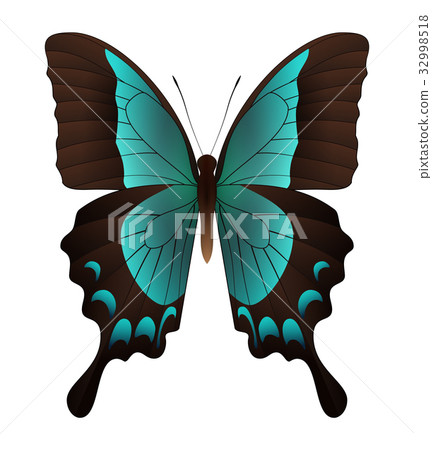 Beautiful butterfly isolated on a white background - Stock Illustration ...