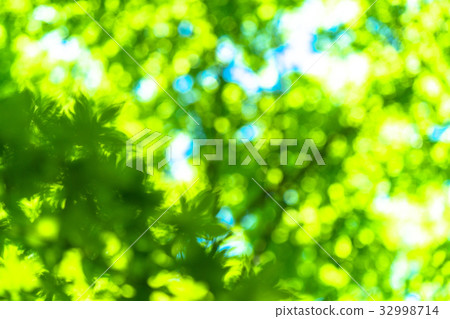 Fresh green eco image Fresh green eco image 32998714