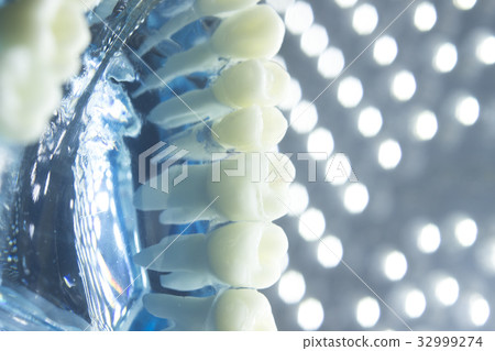 Dentists dental teeth model Dentists dental teeth model 32999274