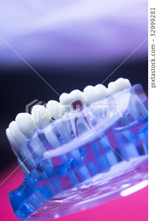 Dentists dental tooth model Dentists dental tooth model 32999281