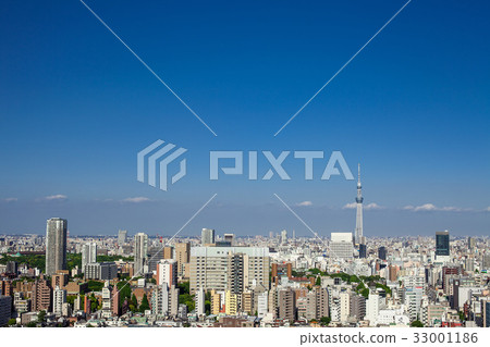 Sky tree  33001186