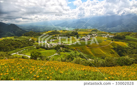 Landscape - Needle Flower 33002028