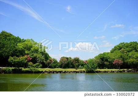 Summer Lake Koi Nara Park 2 Summer Lake Koi Nara Park 2 33002072