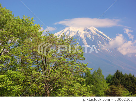 Mt. Fuji from Shibazakura Festival venue (5) Mt. Fuji from Shibazakura Festival venue (5) 33002103